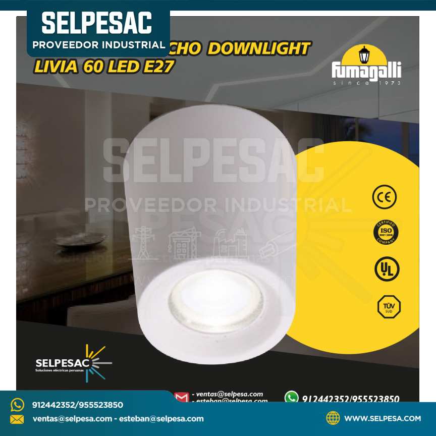 FUMAGALLI - LAMPARA DE TECHO DOWLIGHT LED E27 LIVIA 60