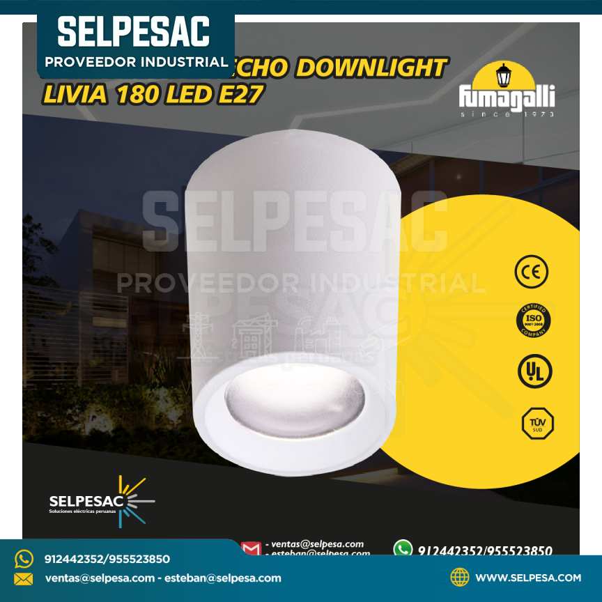 FUMAGALLI - LAMPARA DE TECHO DOWLIGTH LIVIA 180 LED  E27