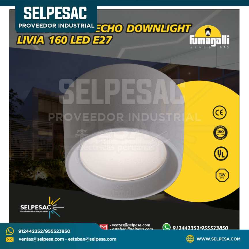 FUMAGALLI - LAMPARA DE TECHO DOWLIGTH LIVIA 160 LED  E27